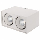 Светильник SP-CUBUS-S100x200WH-2x11W Day White 40deg; 023083