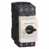 GV3P25; GV3 Автоматический выключатель с регулируемой тепловой защитой (17-25А)