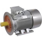 DRV250-M2-090-0-3020; Электродвигатель трехфазный АИР 250M2 660В 90кВт 3000 об/мин 2081 DRIVE