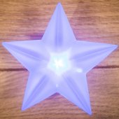 501-035; "Звезда" RGB на присоске 9x9 см