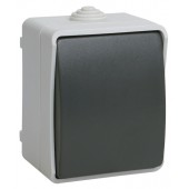 EVS13-K03-10-54-DC; ВСк20-1-0-ФСр Выключатель кнопочный для открытой установки IP54